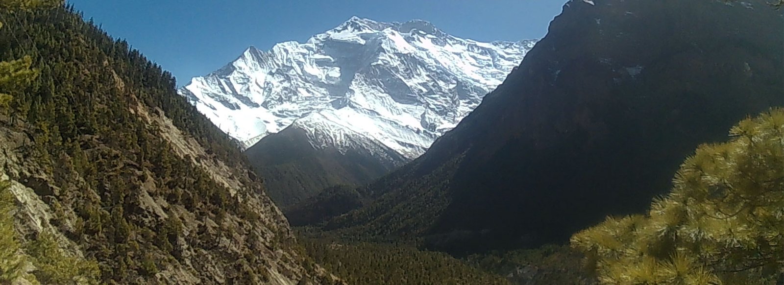 Annapurna base camp trek